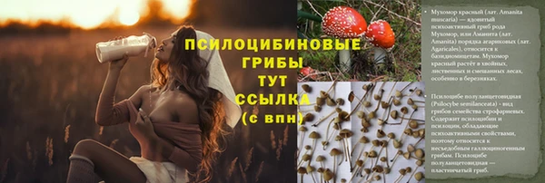 скорость Алзамай