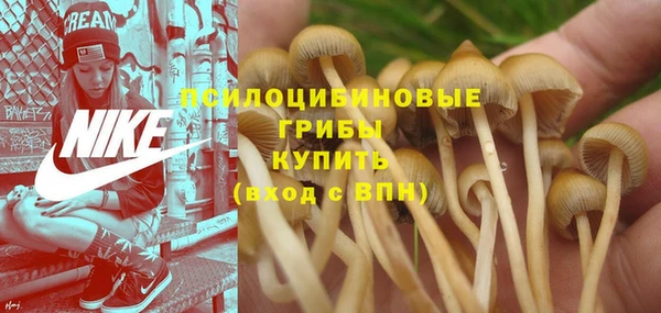 гашиш Алексеевка