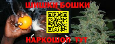 ешки Будённовск