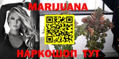 ешки Будённовск