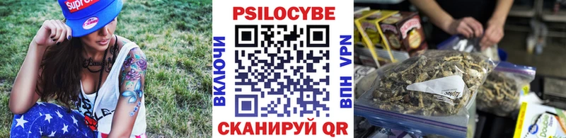 купить наркоту  Беслан  Псилоцибиновые грибы Cubensis 