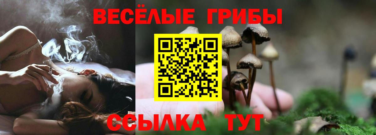Псилоцибиновые грибы ЛСД  наркотики  Беслан  Вход с VPN 